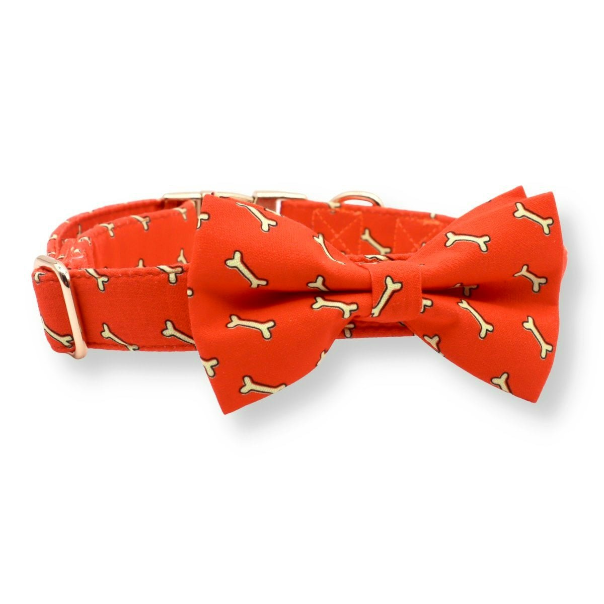 Fetch Bowtie Unbreakable Collar? & Leash Set