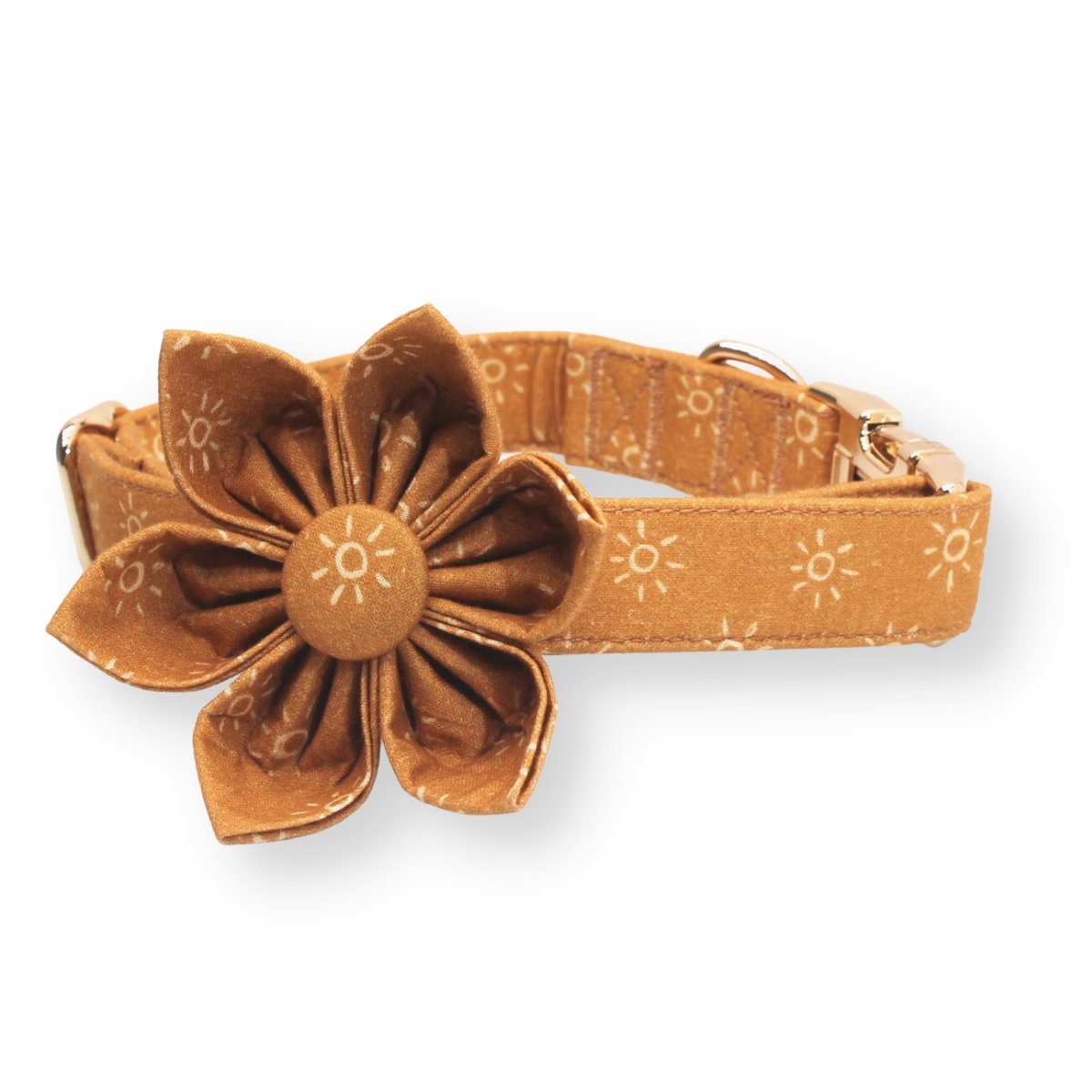 Suns Flower Unbreakable Collar? & Leash Set