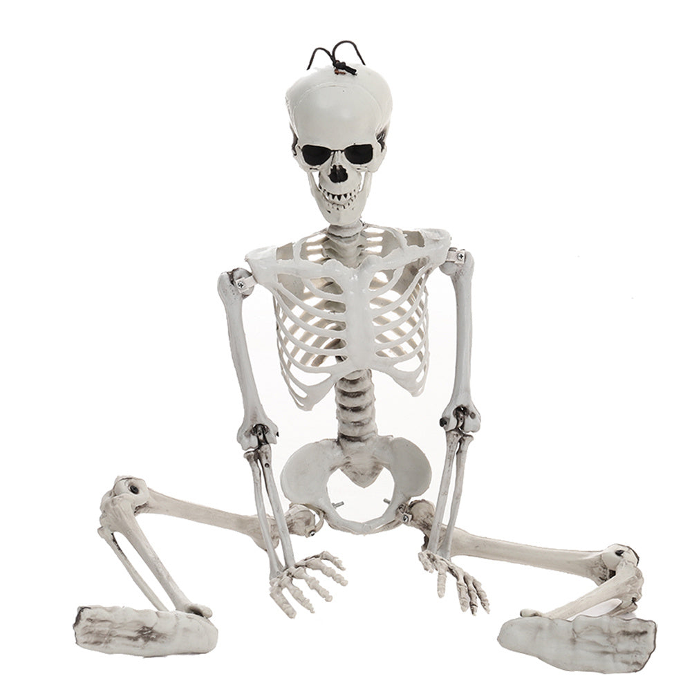 Halloween Human Skeleton Prop Poseable Full Size Model