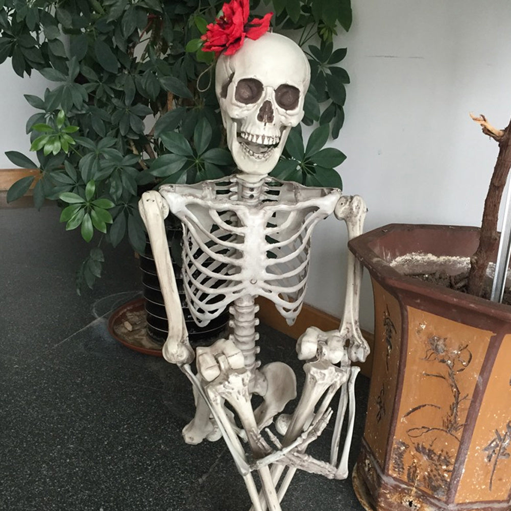 Halloween Human Skeleton Prop Poseable Full Size Model