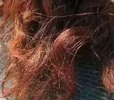 <p data-mce-fragment="1">This is non-Remy human hair,This is the hair that we usually fall out naturally, half of this type of hair will have small yellow spots. So it lifespan is not very long.</p> <p data-mce-fragment="1">&nbsp;</p>
