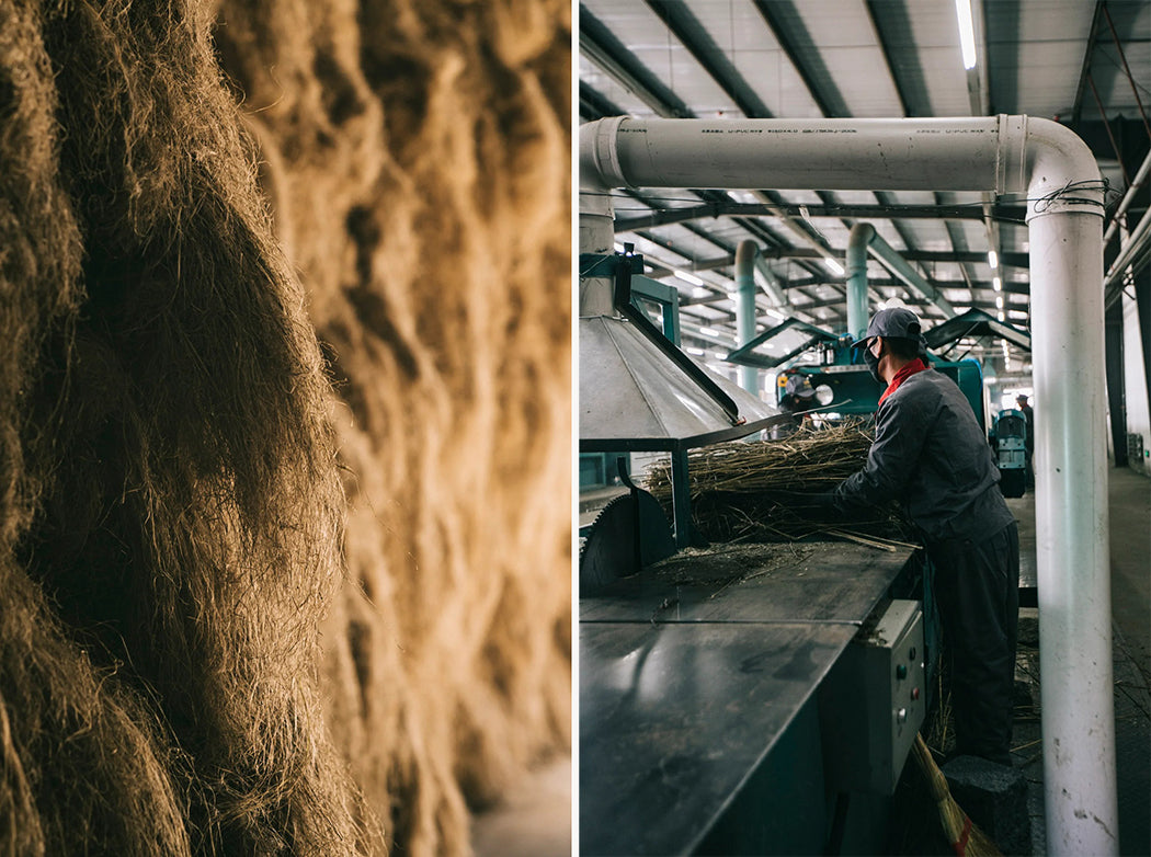 hemp fiber hemp fabrics