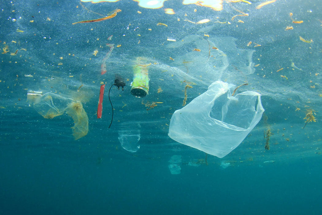 recycled poly