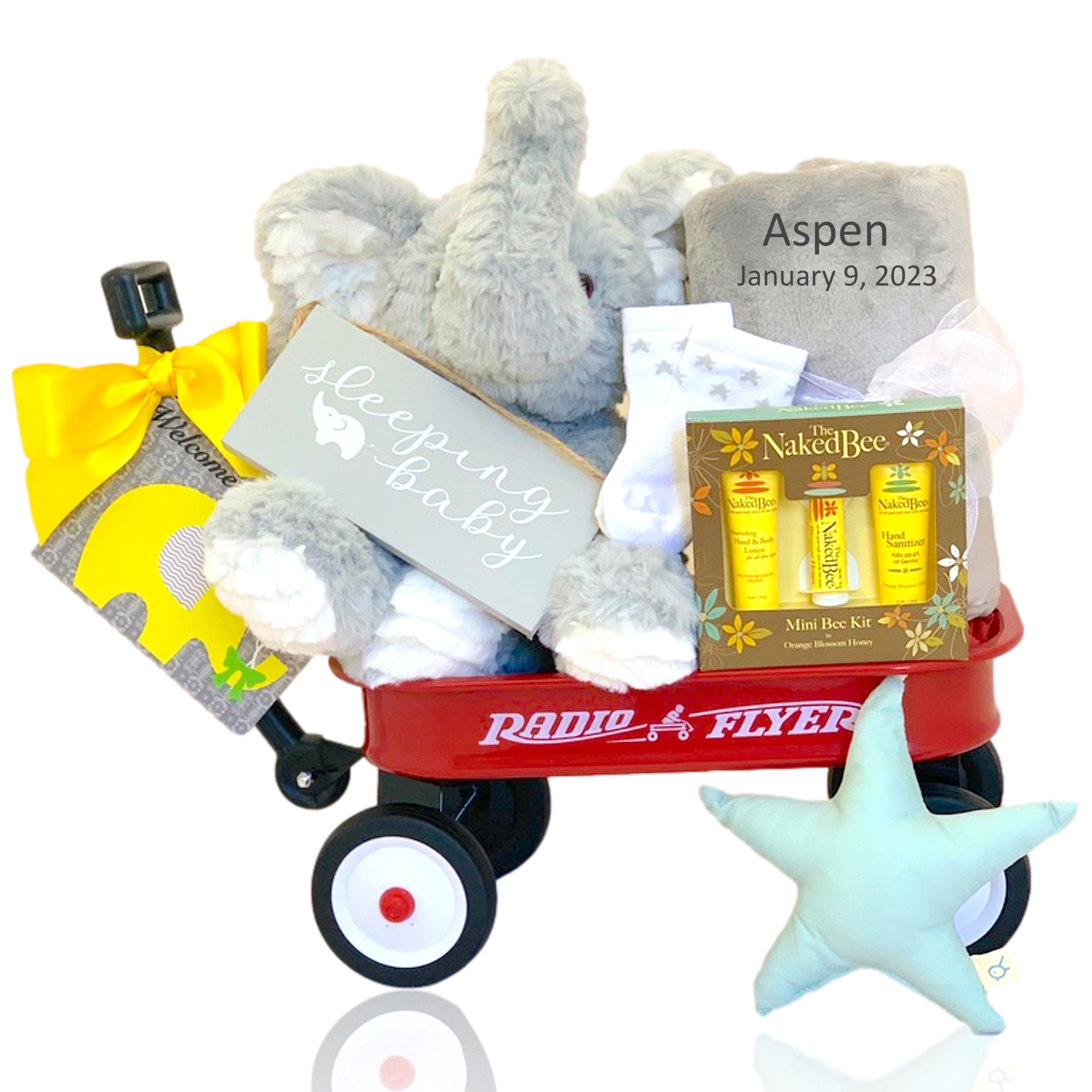 Elephant Buddy Wagon - Option to Personalize