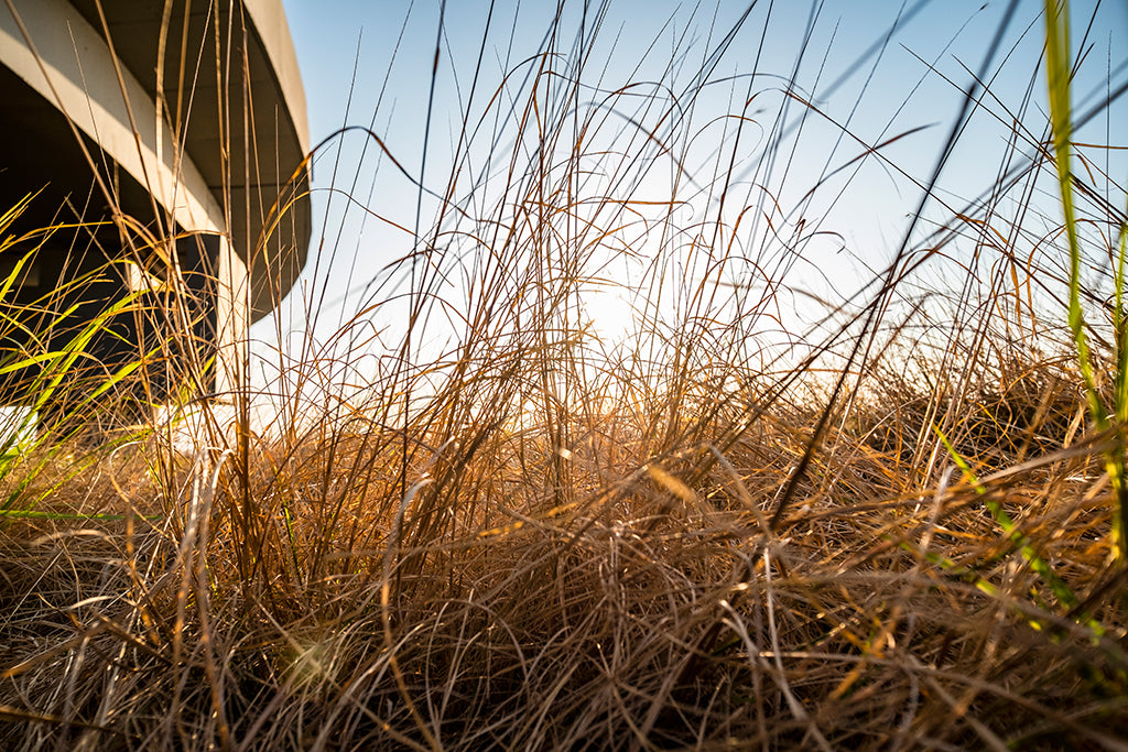 muestra de 13 mm xf