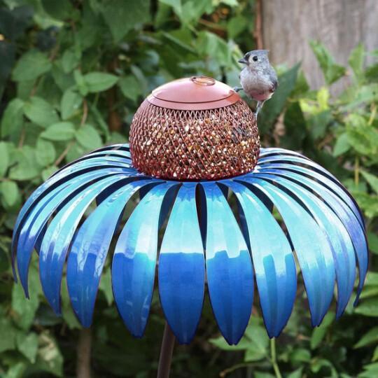 Bird Feeder Coneflower