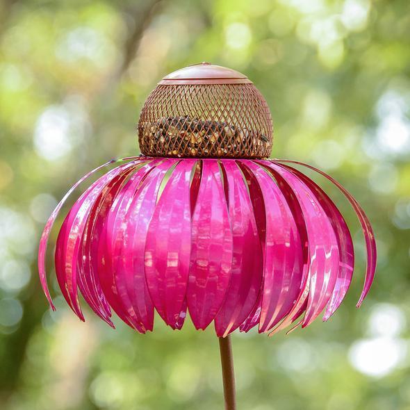 Bird Feeder Coneflower