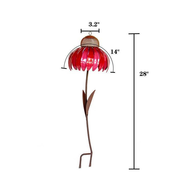 Bird Feeder Coneflower