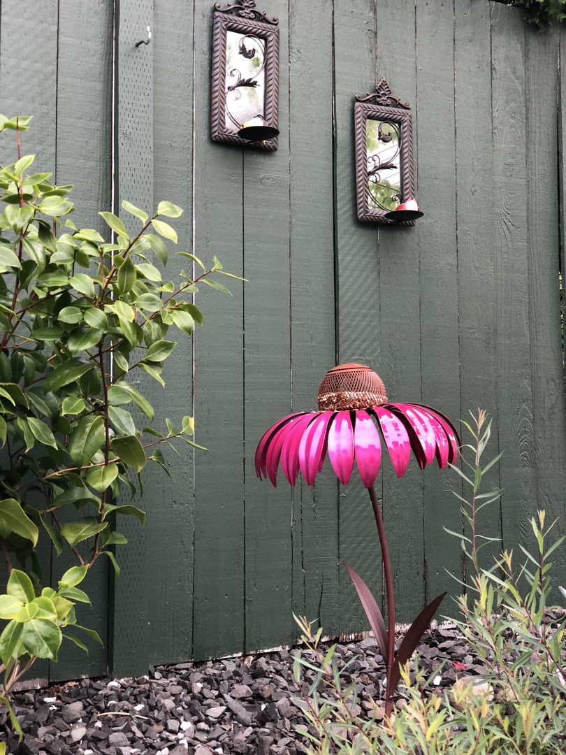 Bird Feeder Coneflower