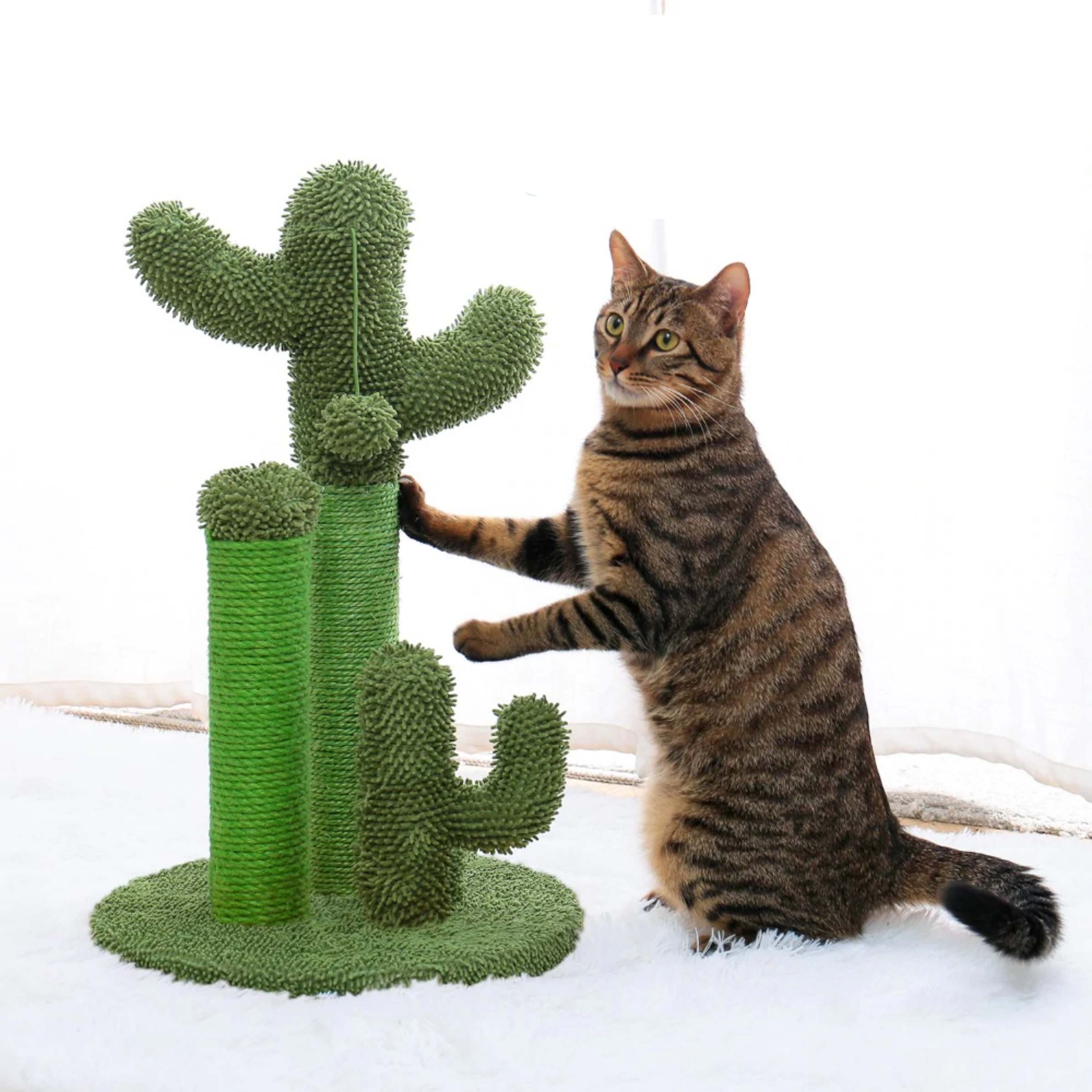 Cactus Cat Scratching Post