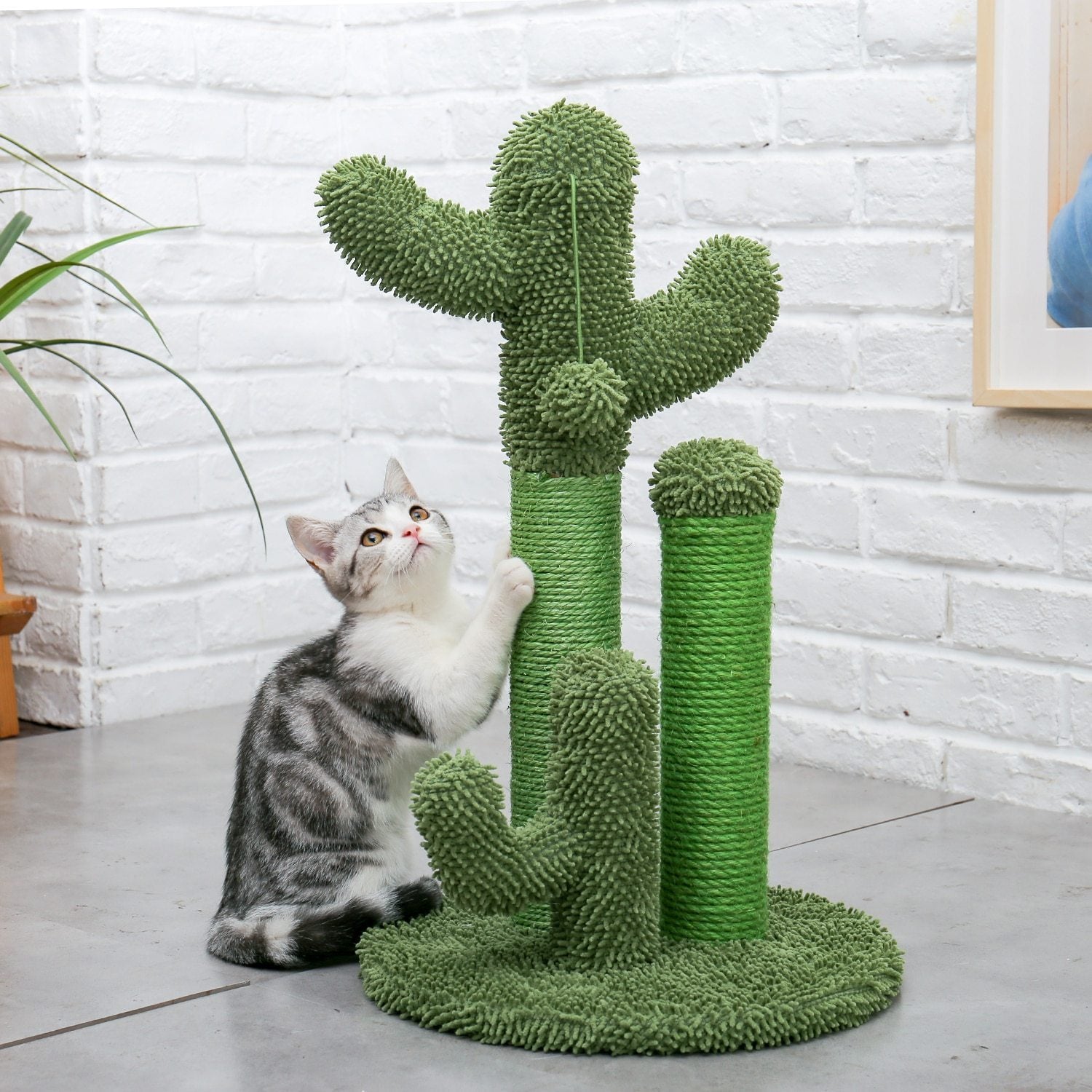 Cactus Cat Scratching Post