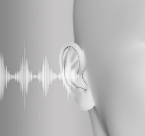 basn in ear monitor headphone for musician singer drummer shure iem westone earphone KZ in ear sennheiser custom in ear factory and manufacturer OEM ODM supplier and agent