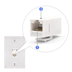 Wall Plate
