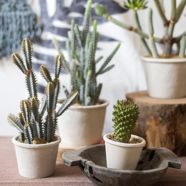 Artificial Plant Cactus Bonsai Potted Plant