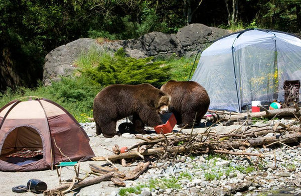 Warum nicht campen gehen?