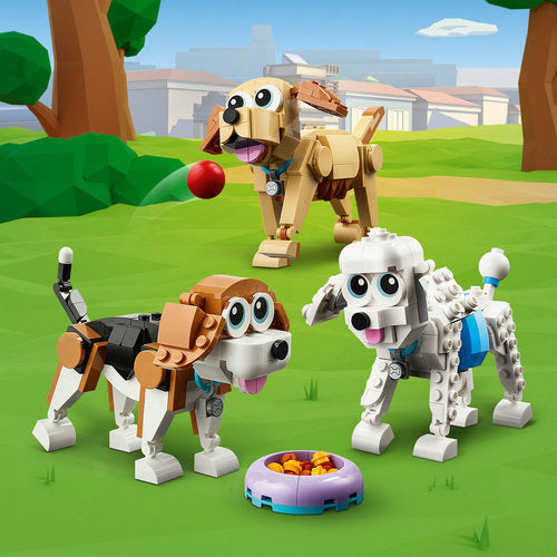 31137 Adorable Dogs