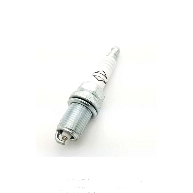 Champion Spark Plug (RC12YC)