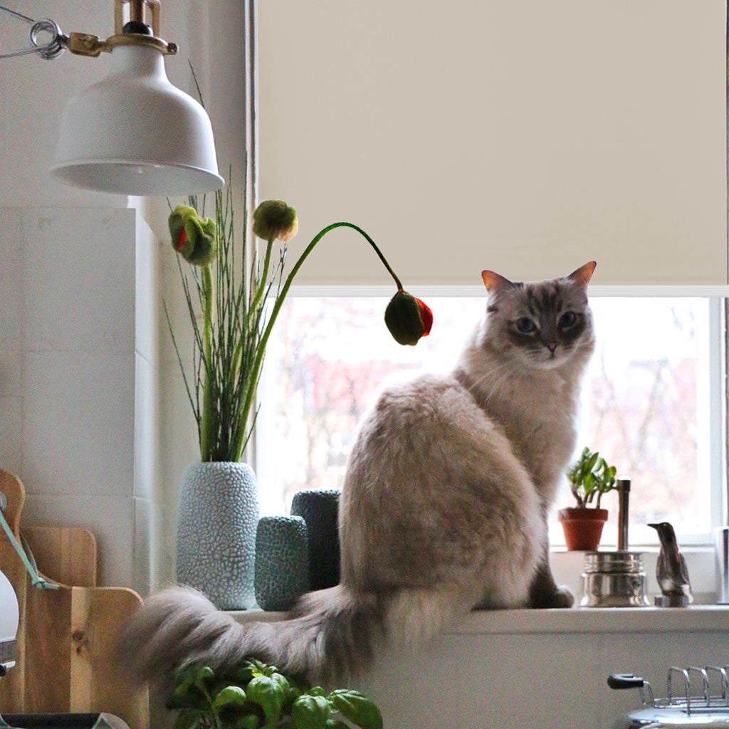 Grandekor cat-friendly roller shades and blinds
