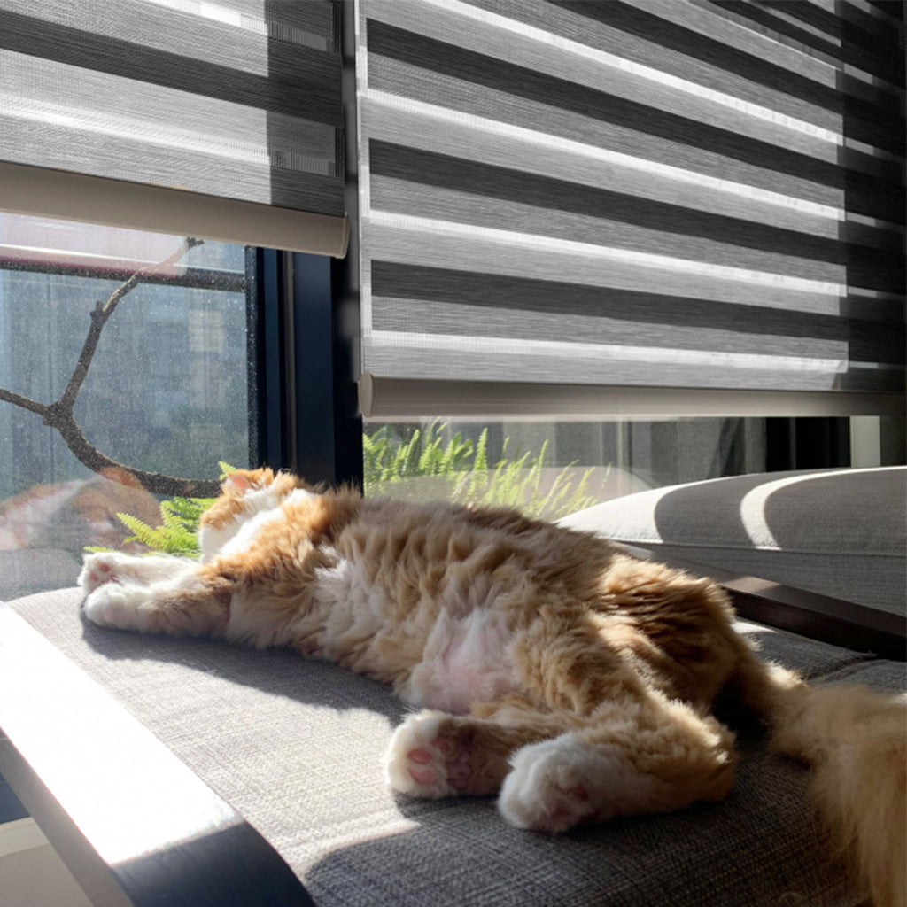 Grandekor cat-friendly cellilar shades and blinds