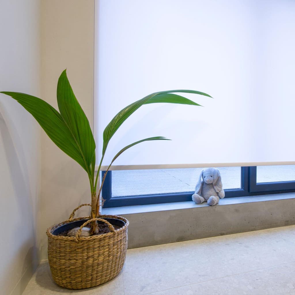 Grandekor online custom window treatments