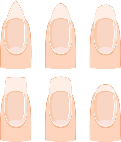 Different Basic Fashion Natural Nail Shapes. Set Kinds Forms of Nails.  Salon Nails Type Trends. Vector Illustration Stock Illustration -  Illustration of manicured, girl: 153639482
