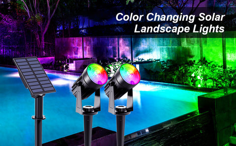 2 in 1 Color Changing Solar Landscape Lights