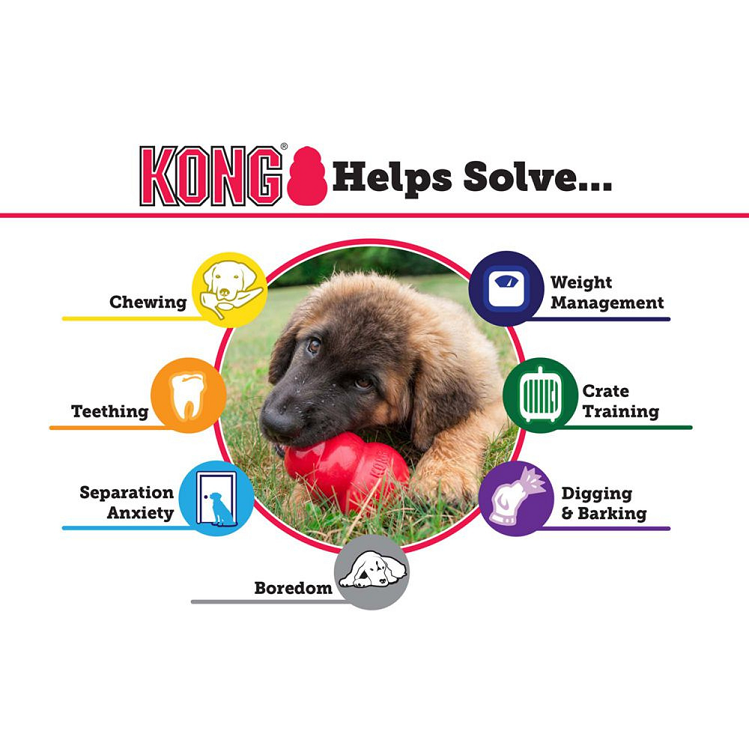 KONG Classic Dog Toy