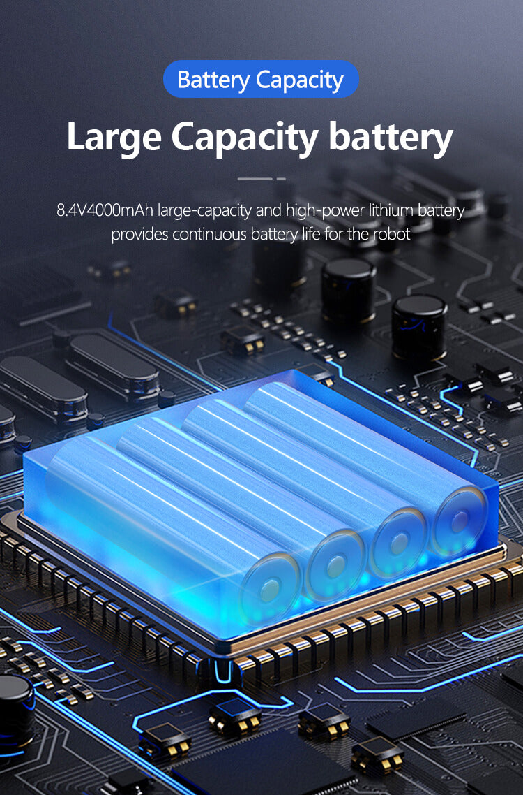 Large capacity battery