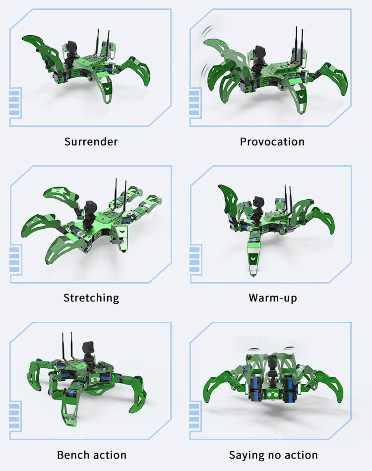 Integrierte 12 Aktionen