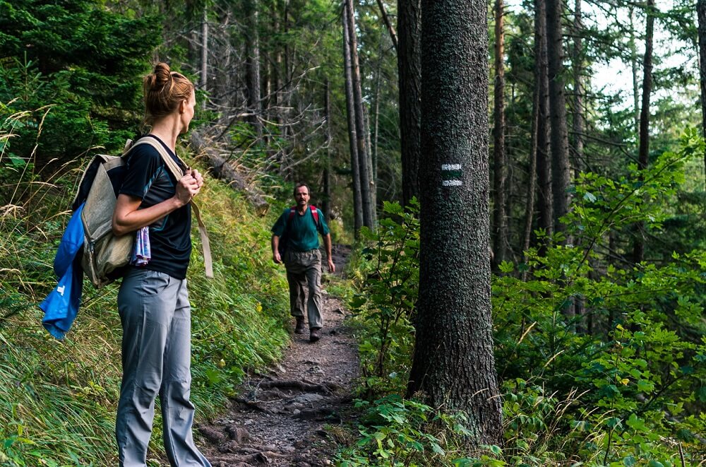 hiking pants