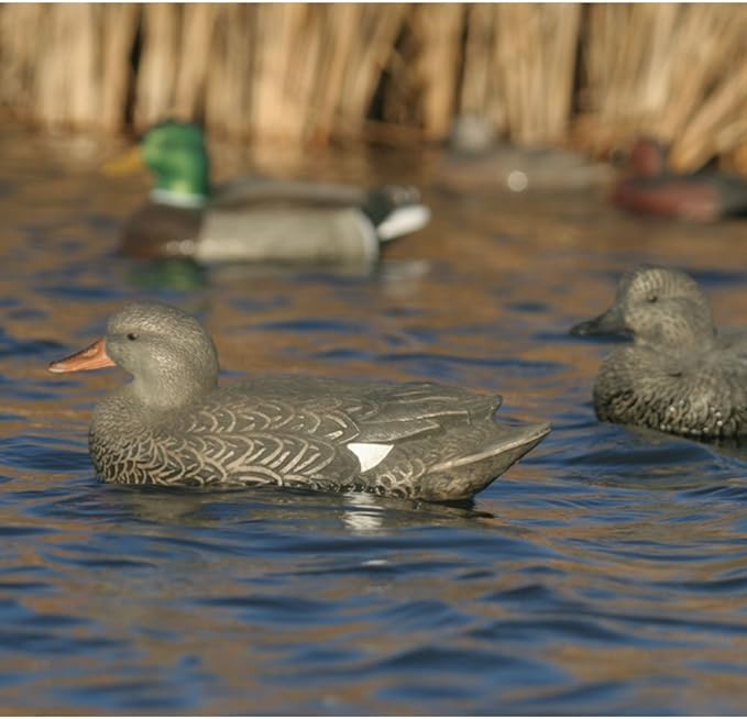 GHG Hunter Series Life Size Gadwall Decoys