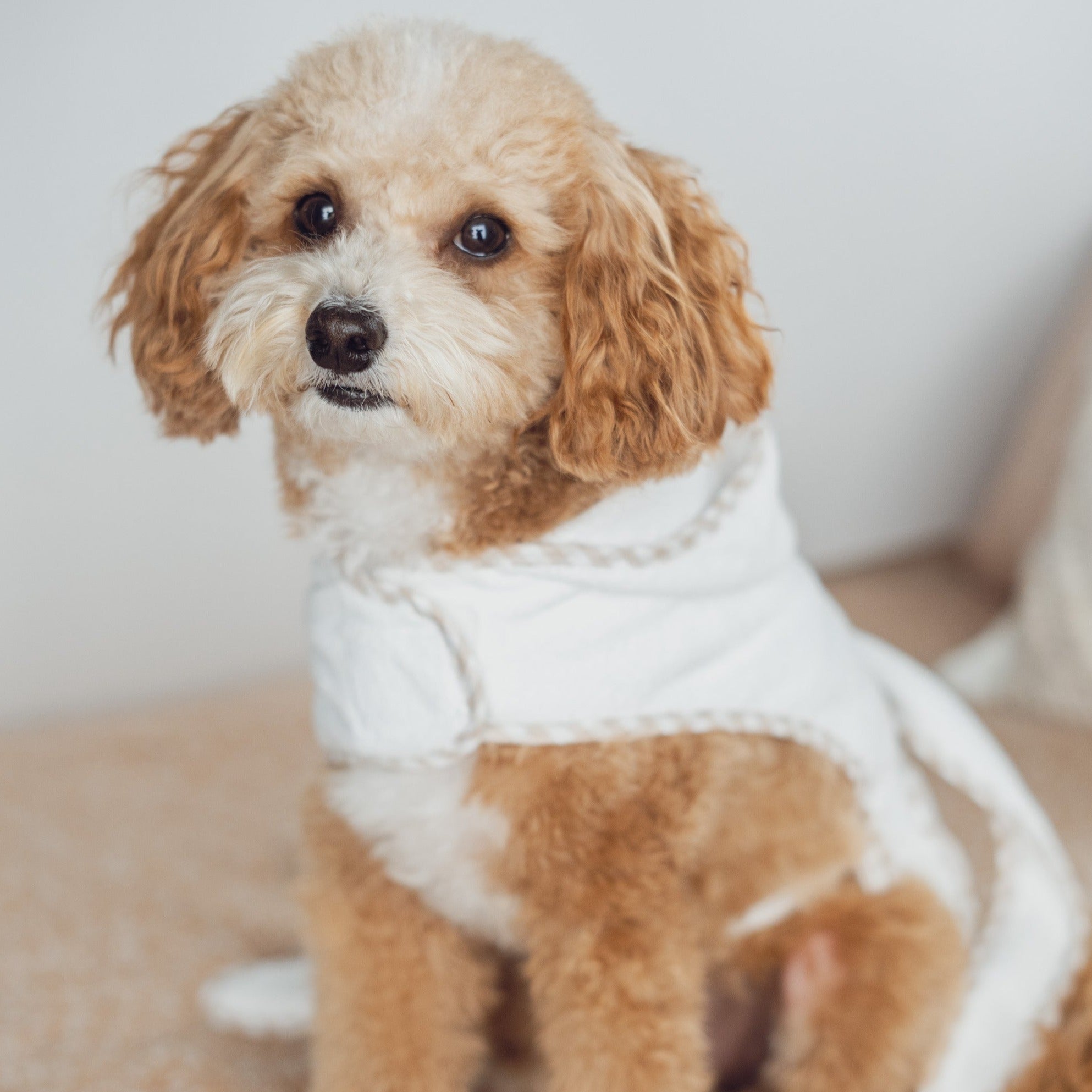 Gingham Trim Dog Robe