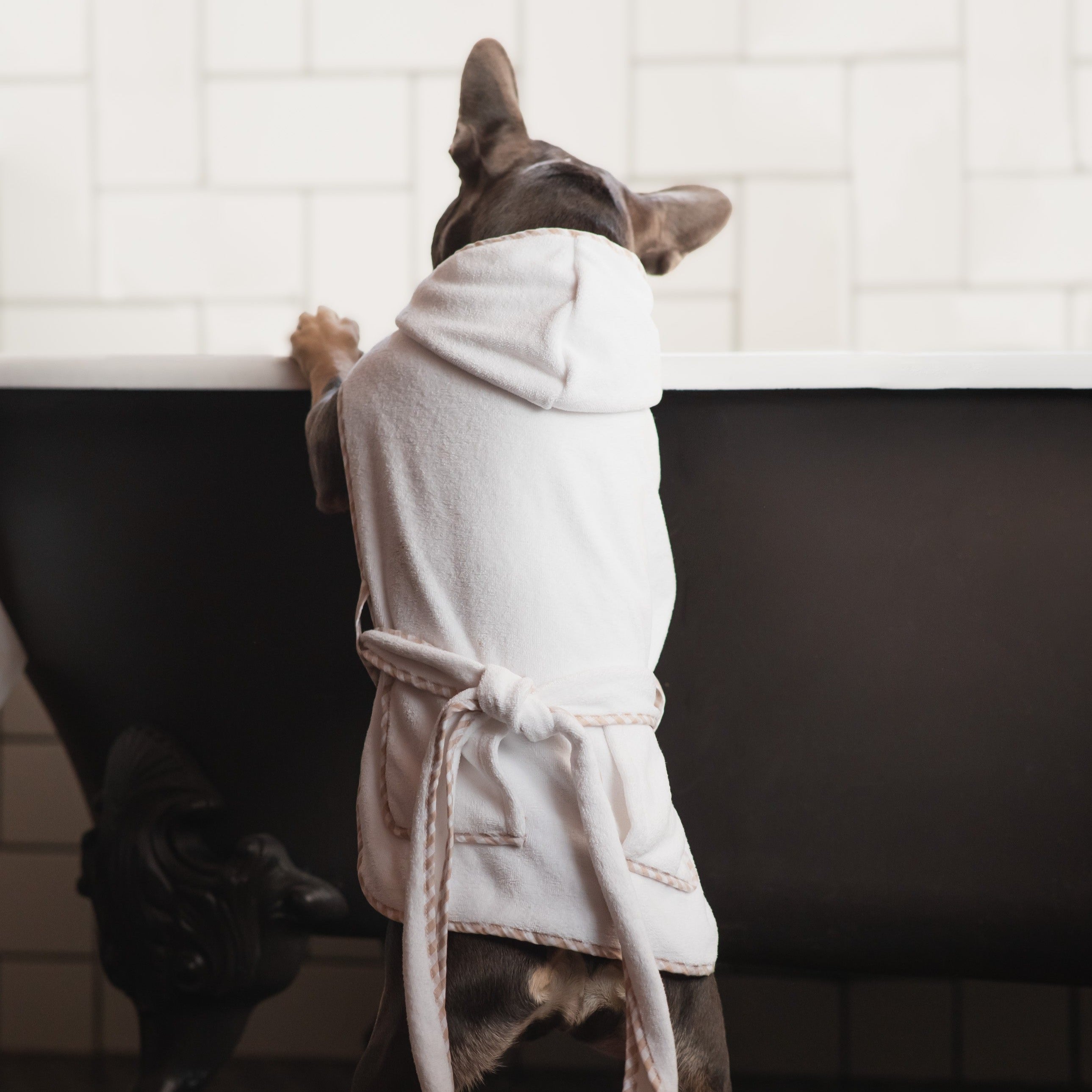 Gingham Trim Dog Robe