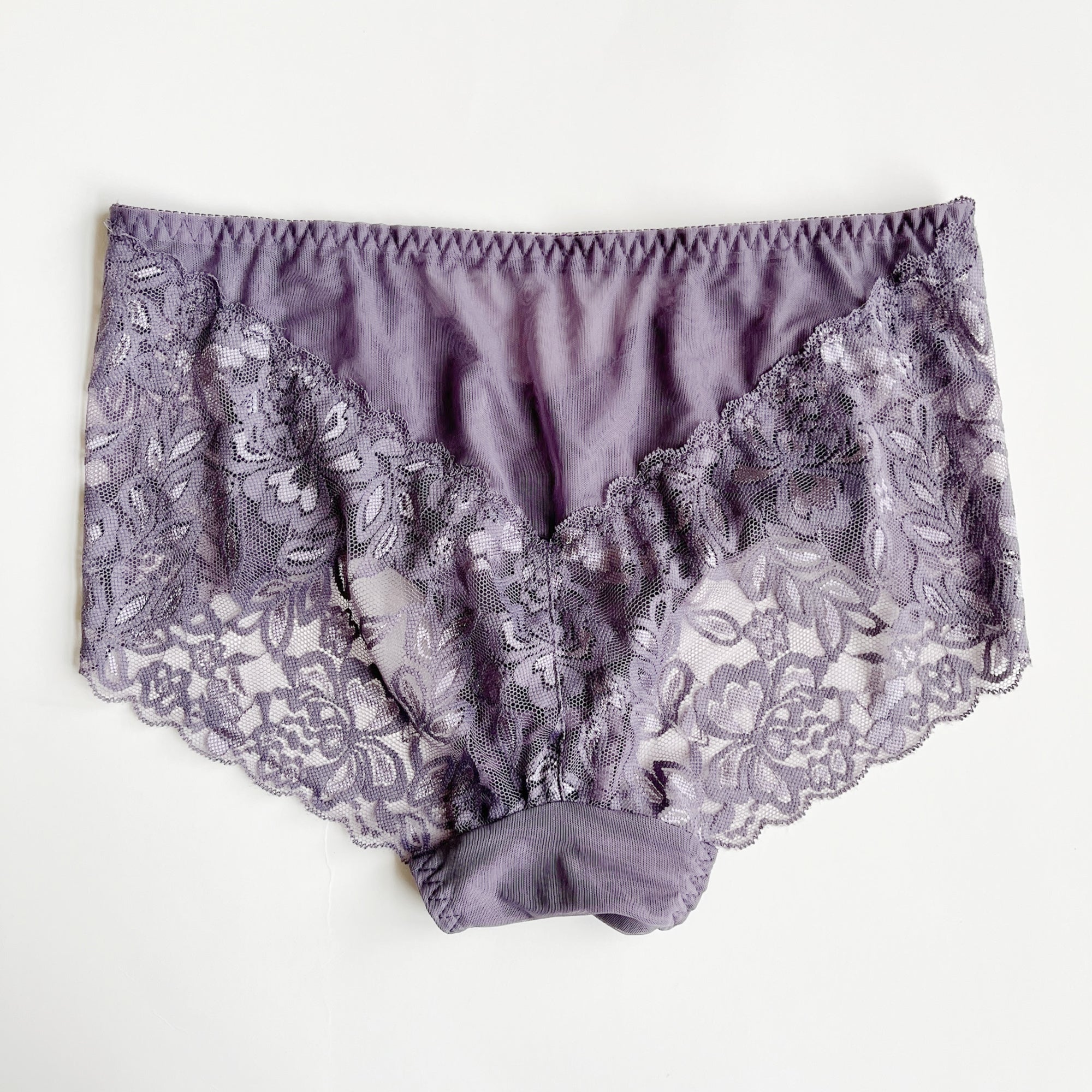 Silk and scalloped lace panty brief