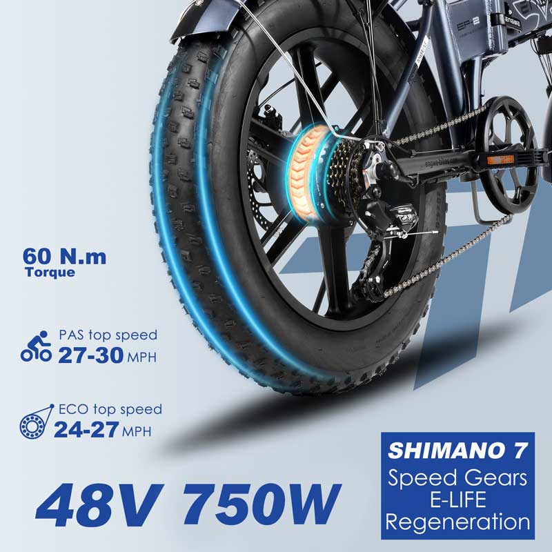 EP2 Pro 48V 750W 20" Fat Tire Folding Electric Bike056