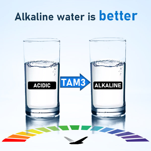 Alkaline and remineralization water filter