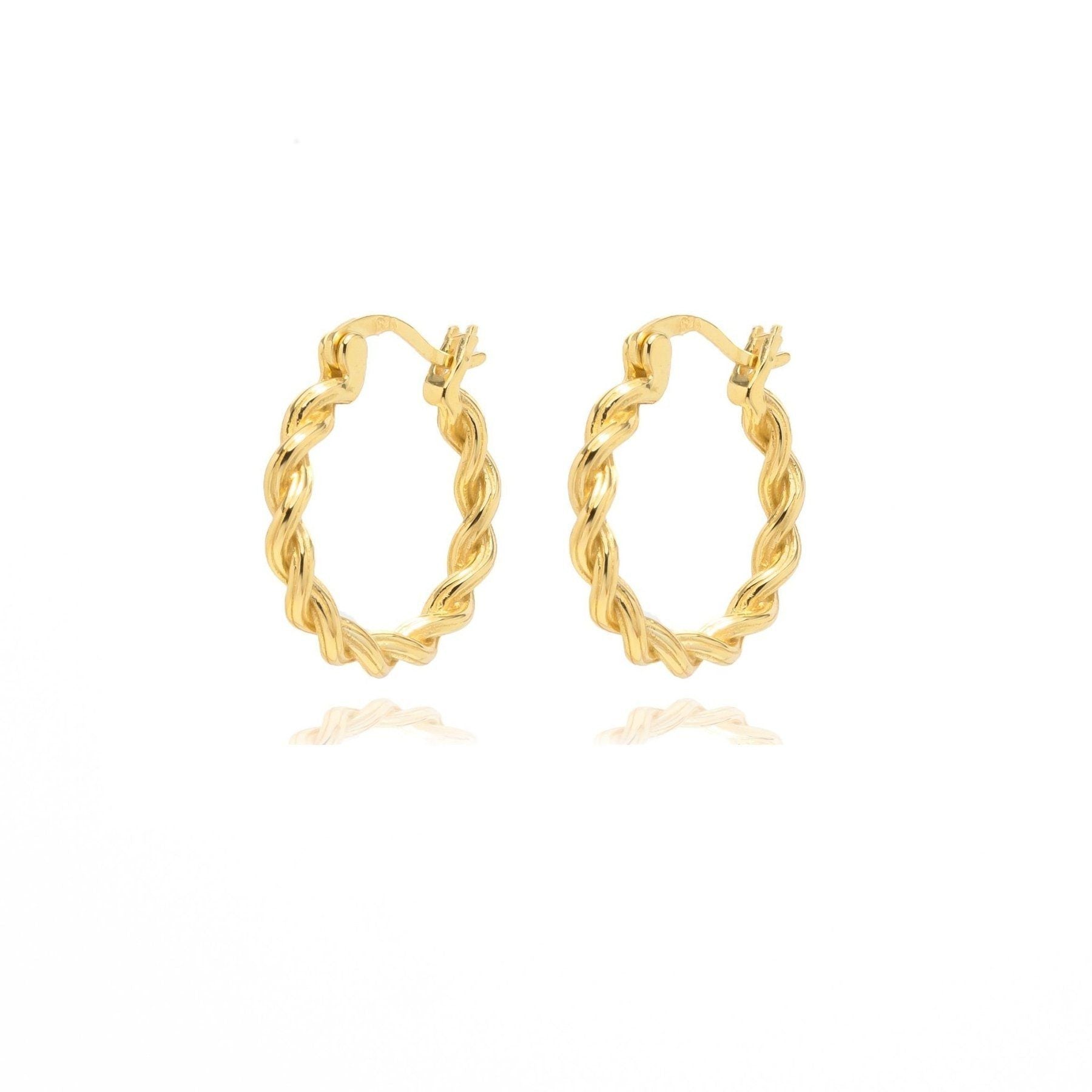 Janae Circle Twisted Hoop Earrings