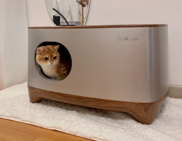 iKuddle, the Smarter Litter Box