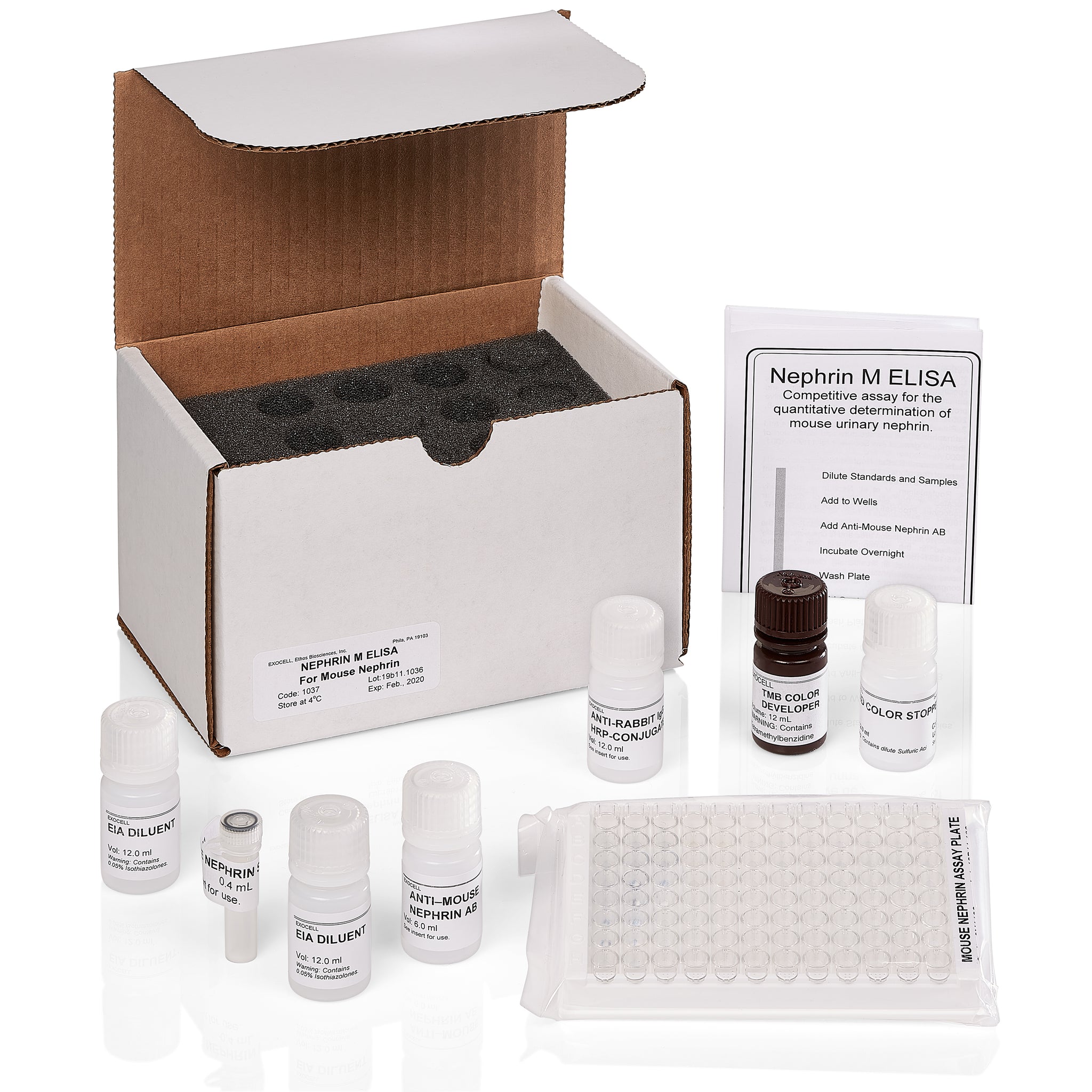 小鼠腎素ELISA