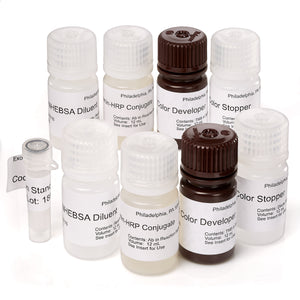 Nephrat II(大鼠白蛋白ELISA)