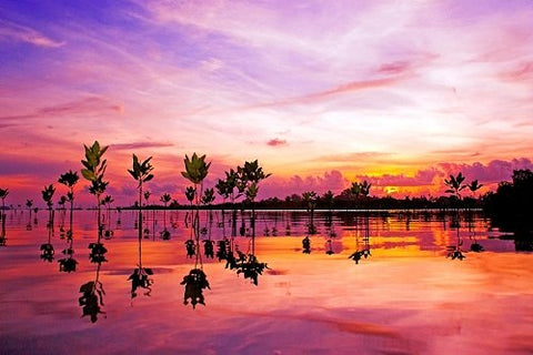 how to create a beach backdrop for photography