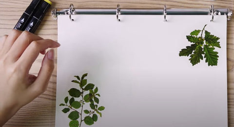 paste leaves of vintage style stickers