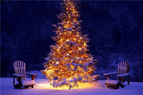 Lights, Snow, Christmas trees and more
