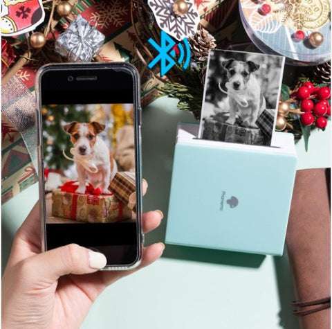 M02 pocket printer print instant photos