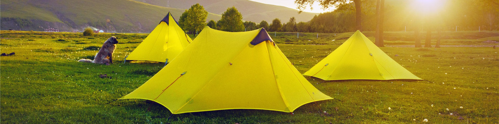 mier tents