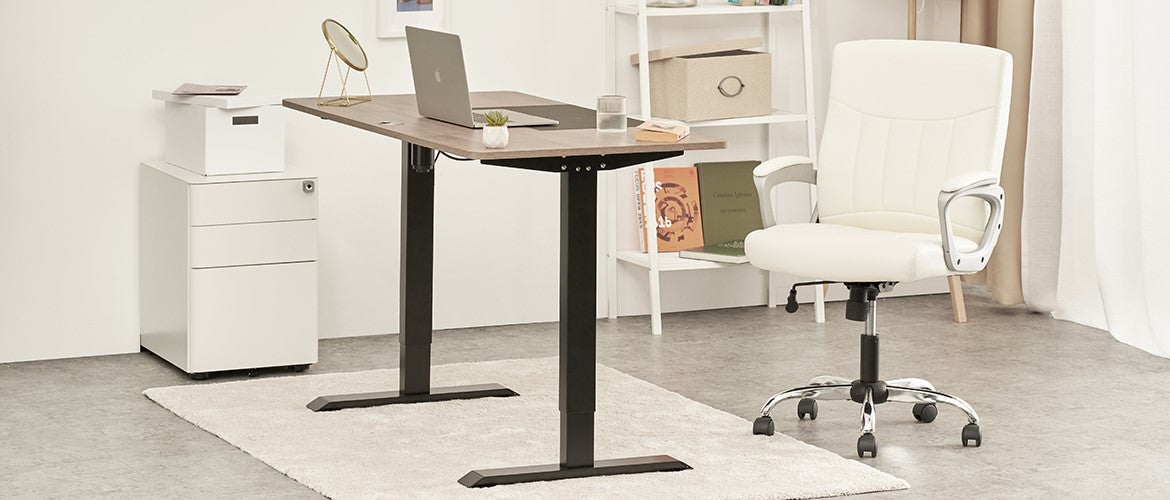 CLATINA Adjustable Height Standing Desk with Electric for Sit