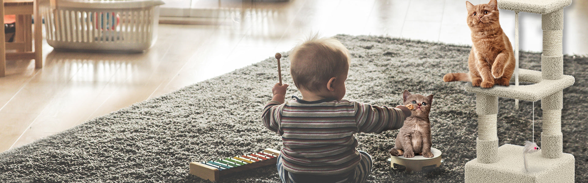 Arbre à Chat 88cm Avec Corde Griffoir Plateforme Niche Beige 11 Arbre à Chat 88cm Avec Corde Griffoir Plateforme Niche Beige -Amis Poils Soldes Boutique AAHKMJXYDAFdJAOAIMEbOAch25Oe7T 3Pt0Wo 99X94RuNcyjRjO1p1c6qiQ5e1aqOHxbTwBAg8wrDT4KWiO0NMj nGKIRvQFZwtrx9W9J94hQ6dncbvrly7P t5egfa5uXltaUSDageaYYS5vcVcU0Ngdm4 w0PUbO 6huILSVdc7Gfrv d9QTbR61VyDoML7EBSj3fnh9bodI4OQWrGBu9vqVA8hk9OKMKtLlIAjHdA==