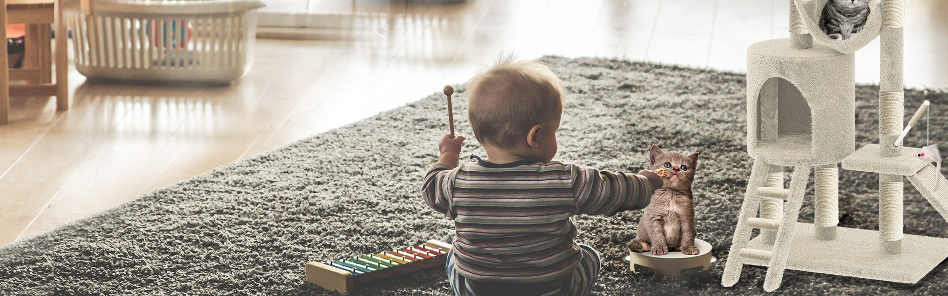 Arbre à Chat 154cm Avec Griffoir Plateforme Niche XXL Beige 11 Arbre à Chat 154cm Avec Griffoir Plateforme Niche XXL Beige -Amis Poils Soldes Boutique AAHKMJXYDAFdJAOAIMEbOAch25Oe7T 3Pt0Wo 99X94RuNcyjRjO1p1c6qiQ5e1aqOHxbTwBAg8wrDT4KWiO0NMjfFPn2uem6cuQxpiDnhKfy7FI lDiofIgimZb836h qM5yc8XbgBJpu1zKycbfRNtoEJ6bJzp4Tv X0lXCW66tCplhDMpDBg6v5MLgATc6J4=