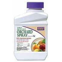 Bonide Citrus, Fruit, and Nut Orchard Spray Insecticide Concentrate - 1 pint