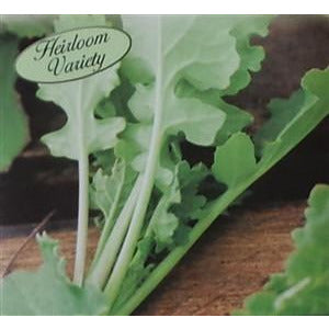 Turnip Seven Top Seed Heirloom - 1 Packet